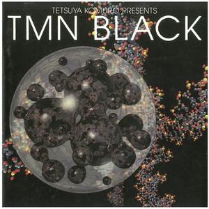 TMN(ティーエム・ネットワーク) / TETSUYA KOMURO PRESENTS TMN BLACK ディスクに傷有り 歌詞カード汚れ有り CD