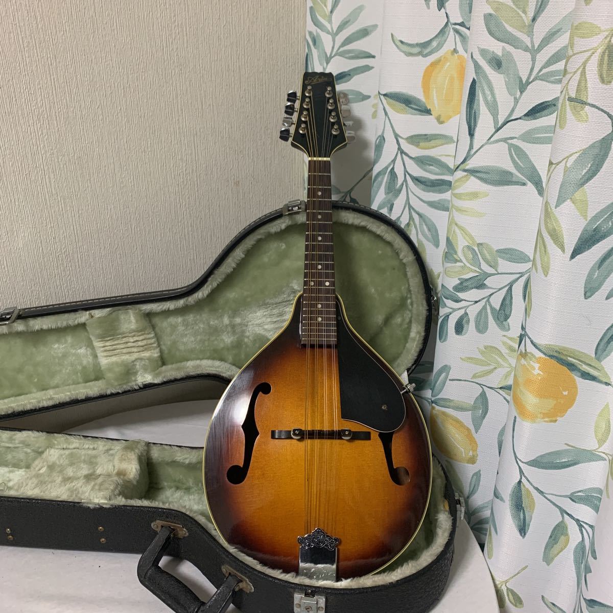 ヤフオク! -フラット マンドリンの中古品・新品・未使用品一覧
