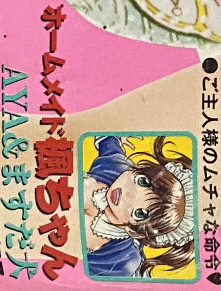 ビジネスジャンプ2009年 増刊 ビージャンこん 初登場 読切 ホームメイド楓ちゃん AYA ますだ犬 グラビア 原幹恵 嬢王 凹式 温泉おくさま