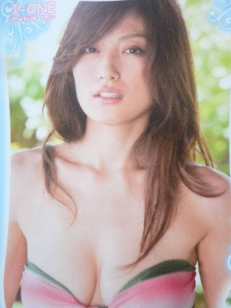熊田曜子 SUN DREAM 即決可能 送料無料 匿名配送 グラビア アイドル 水着 女性アイドル DVD