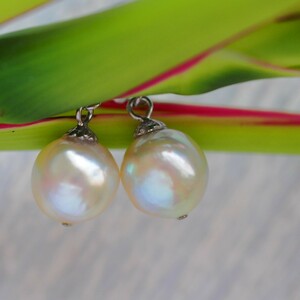  south . pearl SV earrings natural less processing White Butterfly pearl 