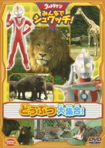 ウルトラマン みんなでシュワッチ! どうぶつ大集合! レンタル落ち 中古 DVD