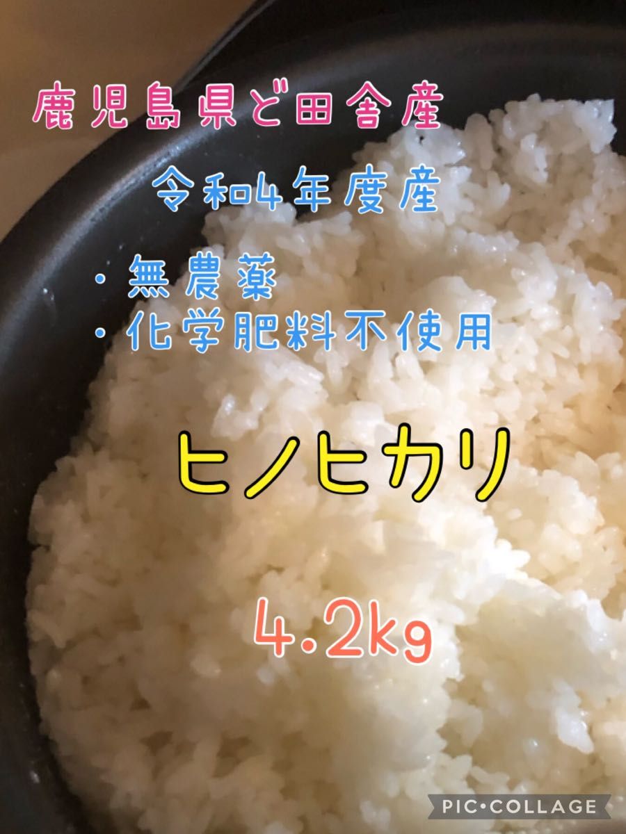 残りわずか！　令和5年　丹波産コシヒカリ　くず米