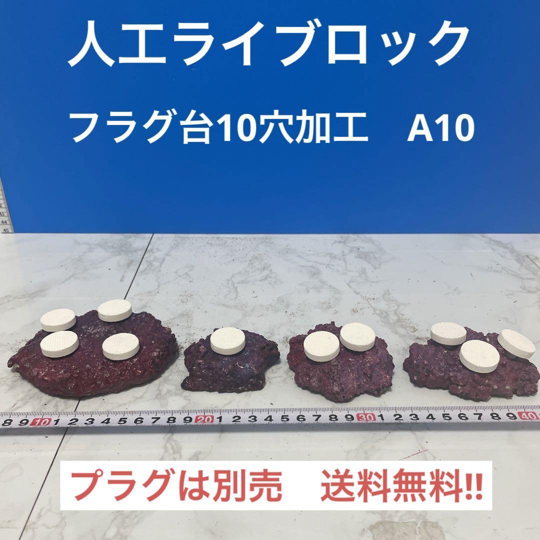 SK-101》人工 ライブロック 2点セット 魚用品/水草 ペット用品 その他
