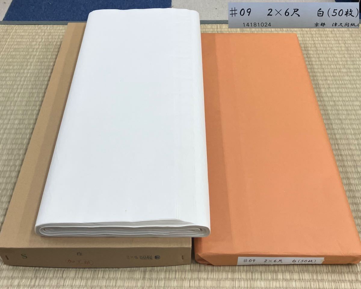 未使用 中国画仙 画仙紙 半切 計100枚 特製 古紙 書道 美術品 書 www