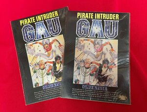 海賊あらしGAU 鳳巳乱 便箋セット 2セット コアデ企画 ムービック 1989年11月 当時モノ 超希少 A12168