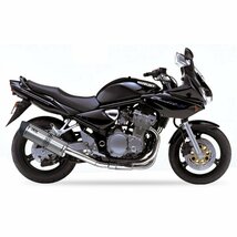 IXIL(イクシル) SUZUKI GSF 600 N 01-04 (WVA8) SOVE スリップオン マフラー【送料800円】_画像2