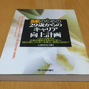 SEのための29歳からのキャリア向上計画 いよいよ部下も仕事も増加する年代に突入!SEが身につけるべき実力、資質とは何か?
