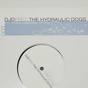 試聴 DJD Pres. The Hydraulic Dogs Shake It For Me　2001年　Junior Jack / ファンキー・ハウス