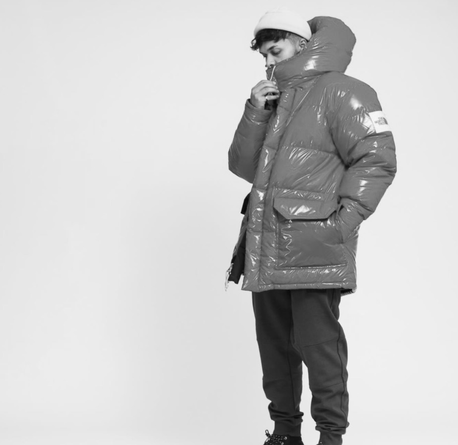 定価12万 L/ノースフェイス ブラウンレーベル ダウン パーカ THE NORTH