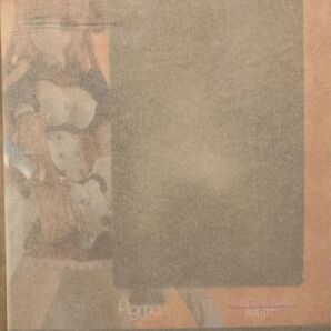 figma プリンセスコネクト! Re Dive ペコリーヌ ノンスケール ABS&PVC製 塗装済み可動フィギュア 未開封品