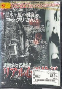 DVD レンタル落ち 本当にいってみた!!リアル心霊検証