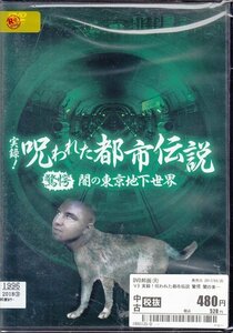 DVD レンタル落ち 実録！呪われた都市伝説 驚愕 闇の東京地下世界