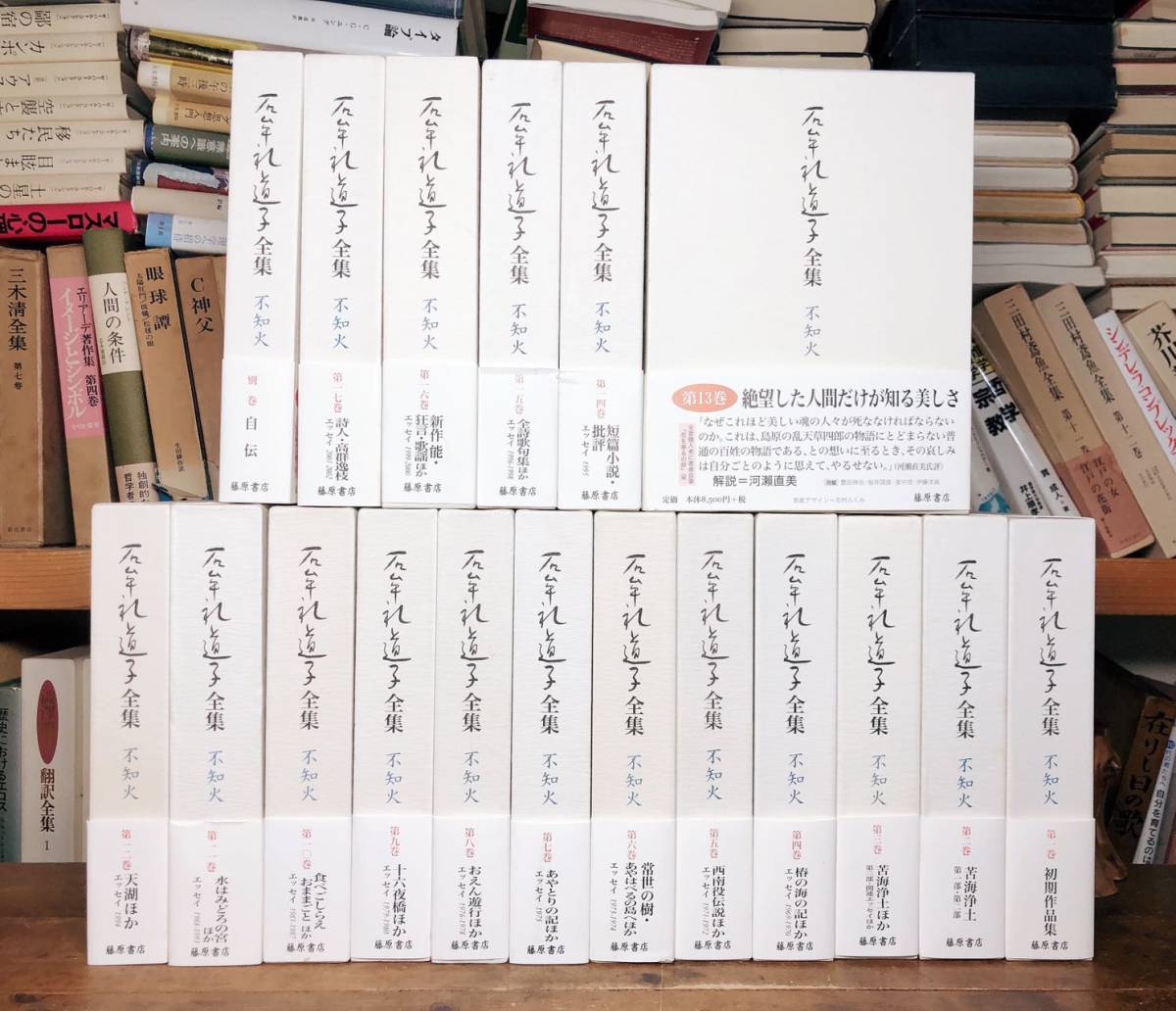 名訳 ゾラ・セレクション 全10冊 藤原書店 検 居酒屋/ナナ/バルザック