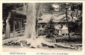 2788★戦前 絵葉書★小県郡東塩田村官幣中社生島足島神社全景