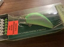 ヘドン heddon オールド　ヘッドハンター　レアカラー　DG 未開封品　検索　old HEDDON_画像6