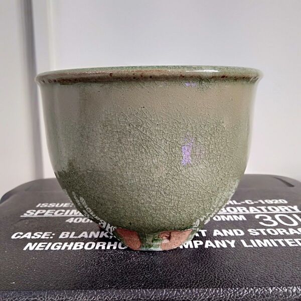 伝市鉢 植木鉢