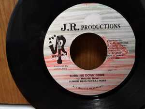 レア/Junior Reid/Mykal Rose/Burning Down Rome