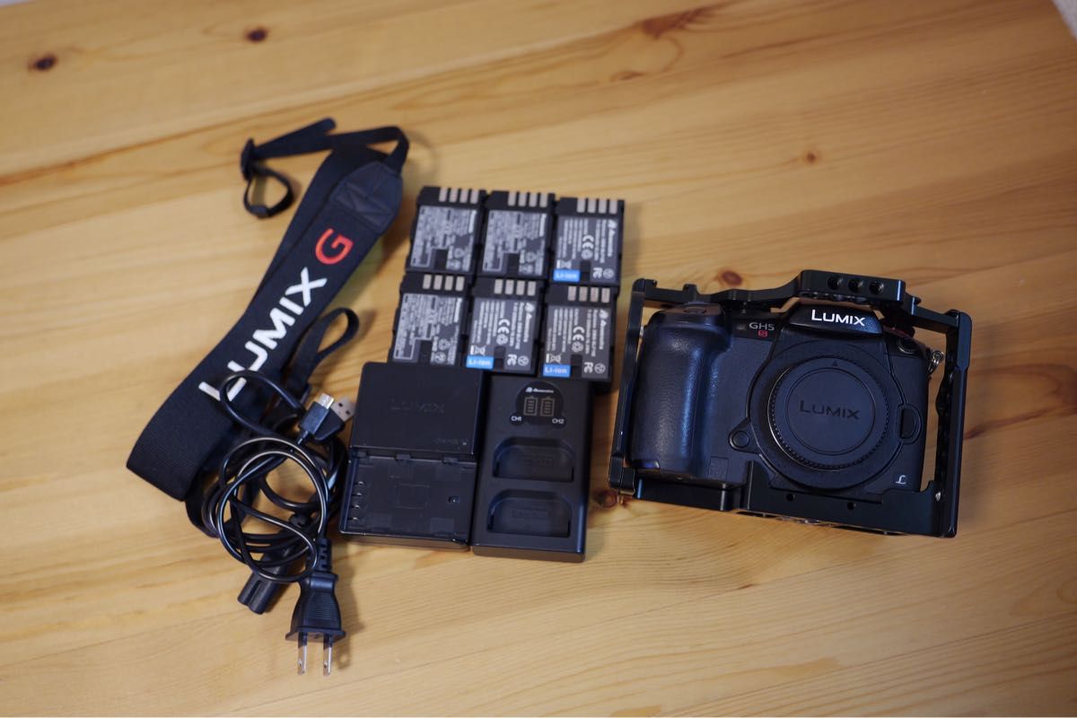 LUMIX DC-GH5S-K ボディ 予備バッテリー付 4K動画用 2枚 SDXC SONY 高