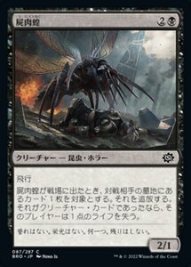 MTG ■黒/日本語版■ 《屍肉蝗/Carrion Locust》★FOIL★ 兄弟戦争 BRO