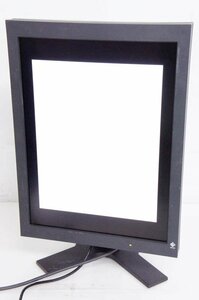 2 EIZO 21.3 -inch liquid crystal display RX211