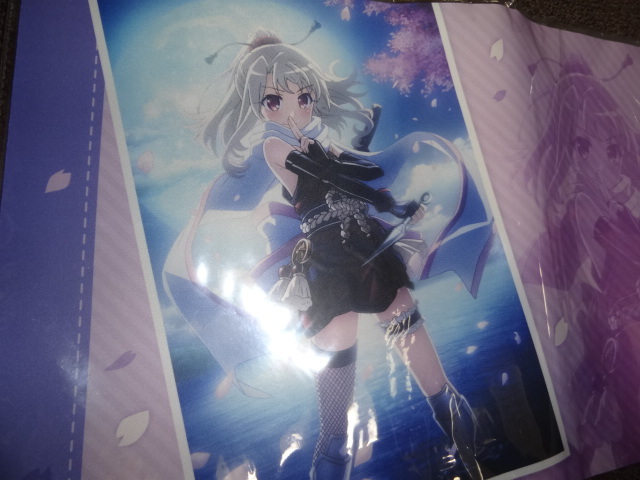 Amazon.co.jp: クロエ・フォン・アインツベルン プレマ FGO MだS