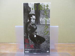 S-4102【8cm シングルCD】辻仁成 言葉はキュークツ JINSEI TSUJI エコーズ ECHOES PCDA-00565