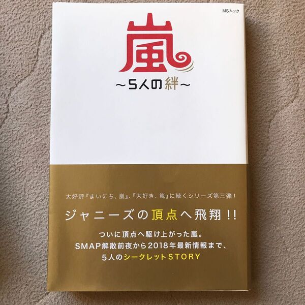 嵐~5人の絆~ 大野智・櫻井翔・相葉雅紀・二宮和也・松本潤 頂点へ飛翔!! (MSムック) ストームLOVE研究会/著