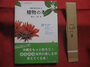 ☆沖縄の野山を楽しむ　　　　植物の本　　　　おきなわフィールドブック　　１ 　　　　　　　　　 【沖縄・琉球・自然・野草・植物】