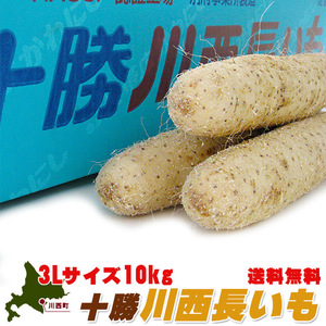  Tokachi river west yam 10kg(3L size. Chinese yam ) genuine . white ... small meat quality. ....... corm . if do stickiness equipped ( Hokkaido special product. length imo)( free shipping )