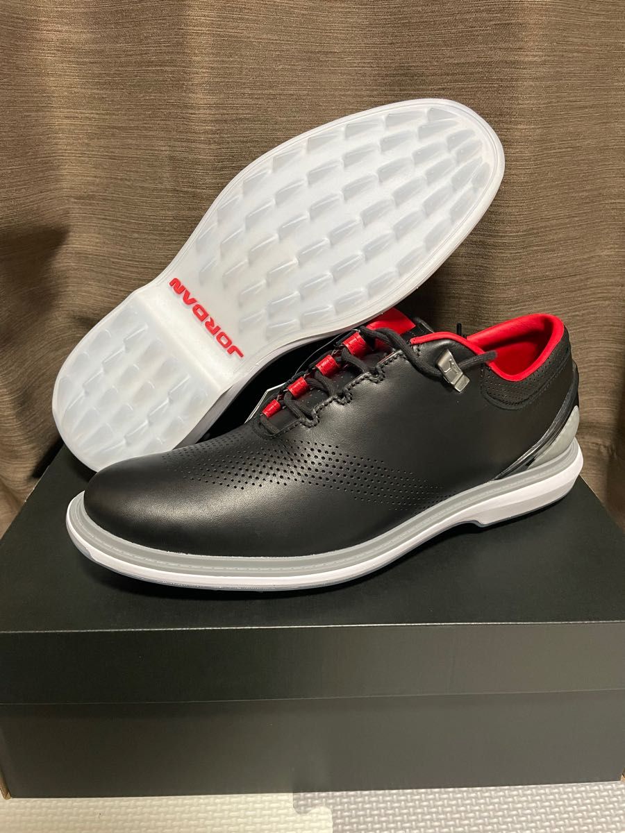 日本未発売カラー・新品】 エアジョーダン ADG3 NIKE27.5cmブルー
