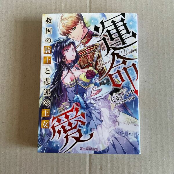 運命愛　救国の騎士と悲運の王女 （ティアラ文庫） 天条アンナ／著