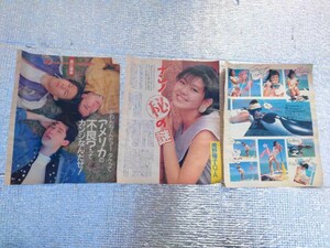 南野陽子/芳本美代子 雑誌 切り抜き 3枚 セット 昭和レトロ 当時物 水着 アイドル