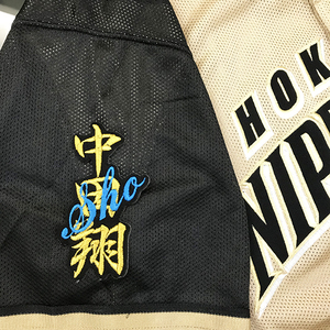 【メール便送料無料】北海道 日本ハム ファイターズ 刺繍ワッペン 中田 ネーム 黒 /中田翔/fighters/応援/刺繍/ユニホーム