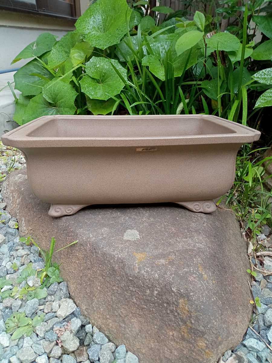 ヤフオク! -佳山 鉢の中古品・新品・未使用品一覧