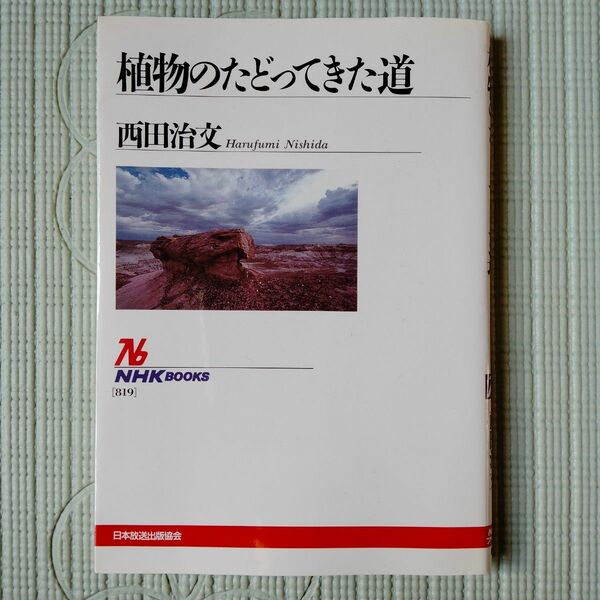 植物のたどってきた道 （ＮＨＫブックス　８１９） 西田治文／著