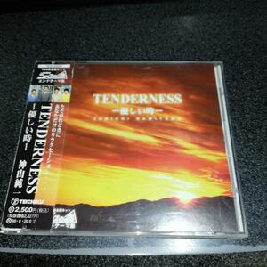 CD「神山純一/テンダネス~優しい時」ニュースの森エンディングテーマ曲集