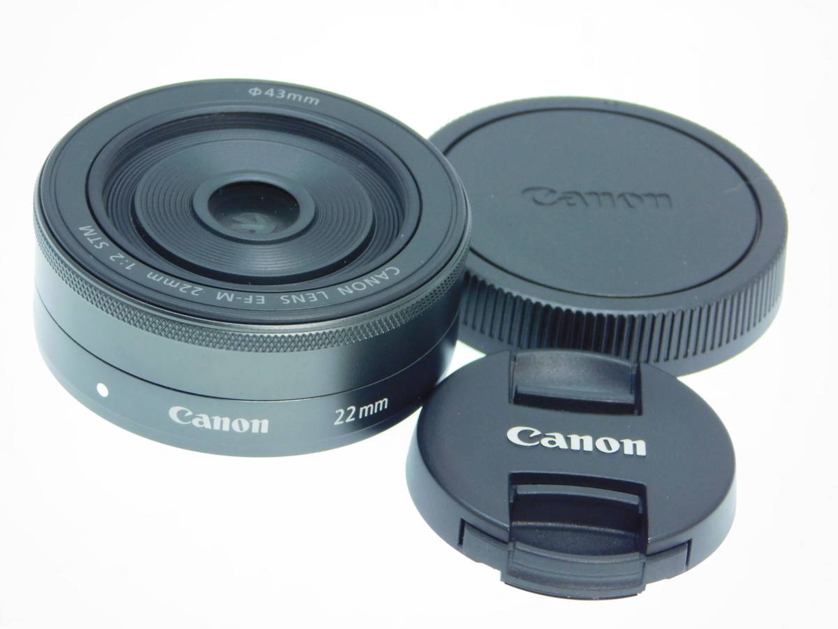 カメラ レンズ(単焦点) ヤフオク! -ef-m22mmの中古品・新品・未使用品一覧