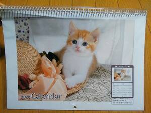 2023 year lovely cat Chan ... cat cat wall-mounted calendar see opening A3 size new goods 