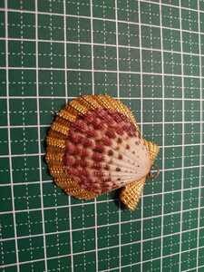 ●貝殻のペンダント1