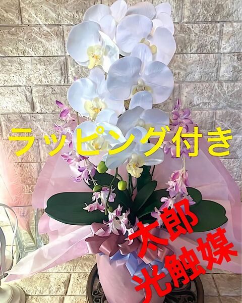 光触媒　人工観葉植物　ウォールグリーン　フェイク　グリーン　フラワー　ハンドメイド　リアル胡蝶蘭wr6637