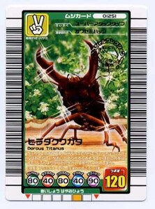 非売品◆小学一年生限定バージョン ヒラタクワガタ ムシキング 2005年