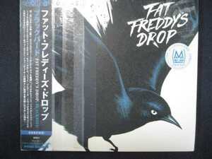 768 レンタル版CD ブラックバード/ファット・フレディーズ・ドロップ 629551