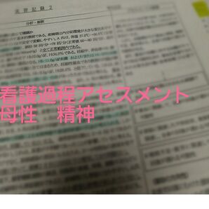 看護過程 看護実習 母性アセスメント 精神アセスメント アセスメント