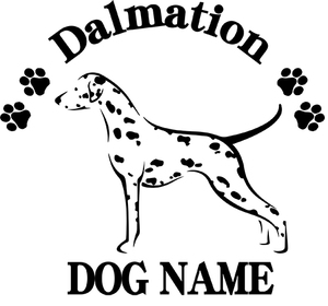  Dalmatian. sticker!! width . approximately 180mm!