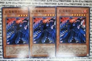 遊戯王 紅蓮魔闘士(ノーマル)×3枚セット