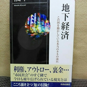 地下経済　この国を動かしている本当のカネの流れ