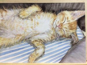 Art hand Auction オリジナル 手描き イラスト ポストカード ねこのこども2⑦ 猫 子猫 茶トラ 水彩画 複製【あおきしずか】, コミック, アニメグッズ, 手描きイラスト