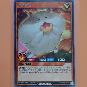 遊戯王 パクチュ