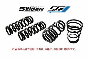 5次元 5Gコイル ダウンサス(1台分) レクサス IS250 GSE25 4WD H17/8～ 5GLD004